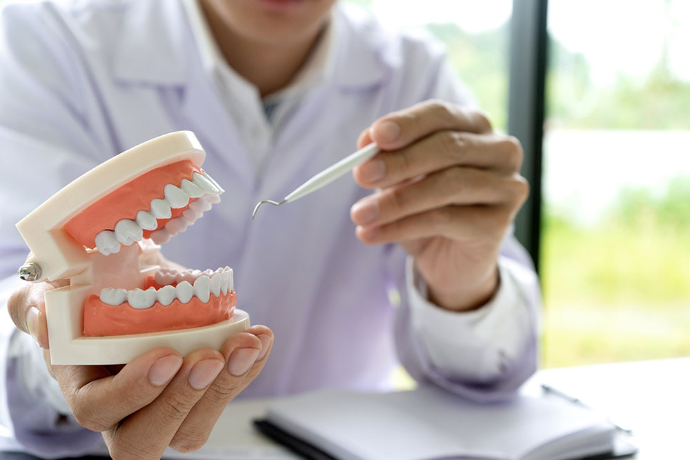 dentist showing a model of dentures